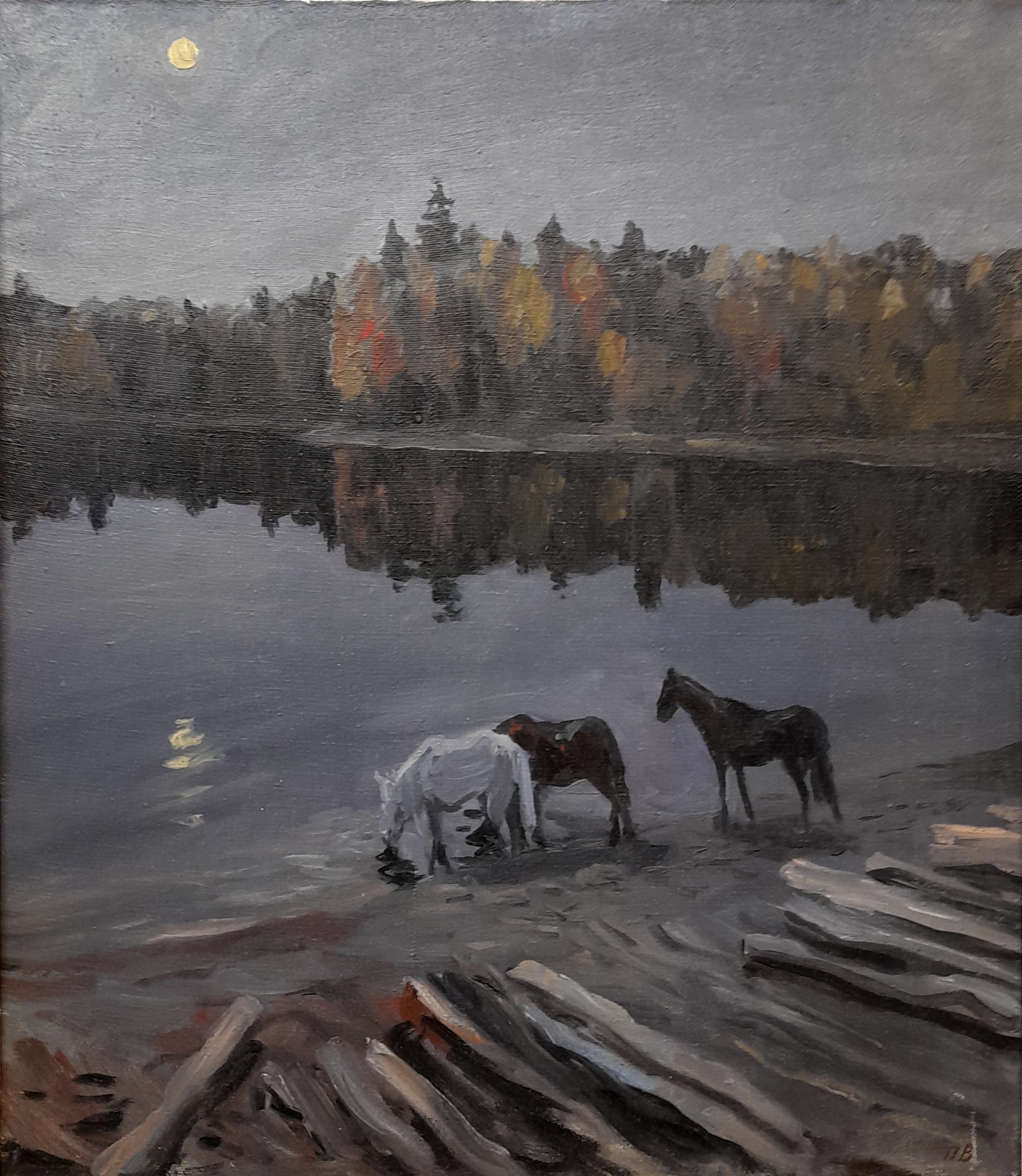 Пронькин В. Лунная ночь.